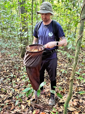 Dr Michael Boyle collecting leaf litter insects at Danum Valley Conservation Area, Borneo.  (Photo courtesy: Louise Ashton)